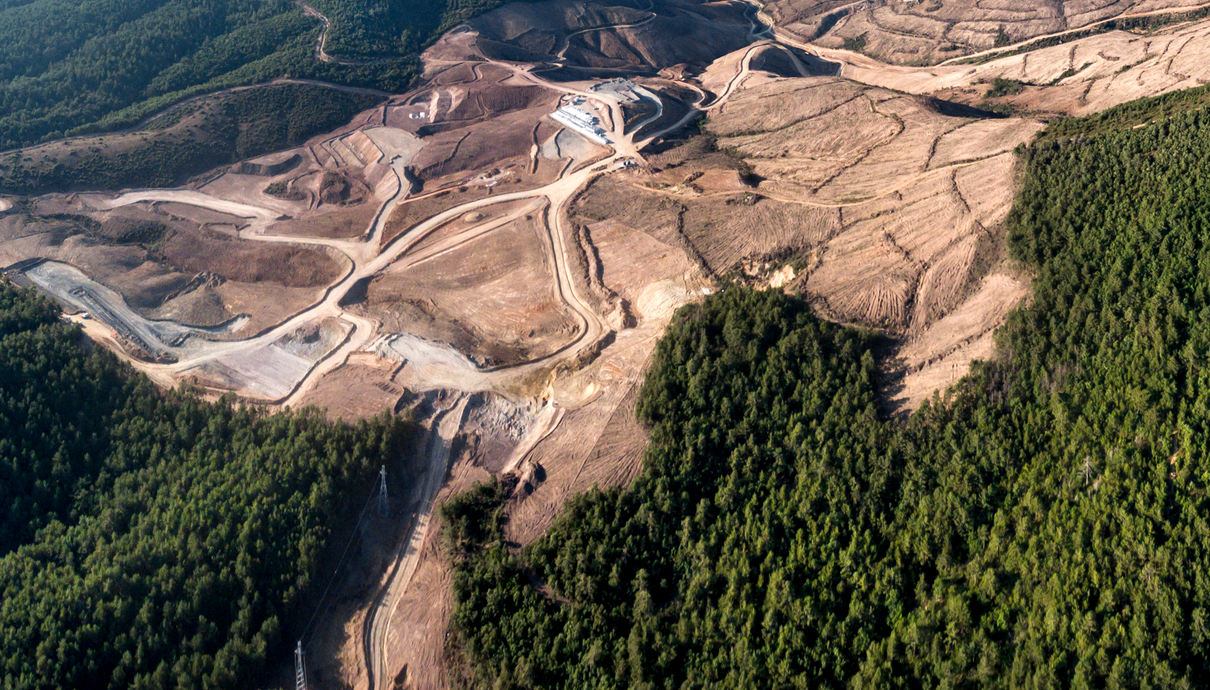 Deforestation