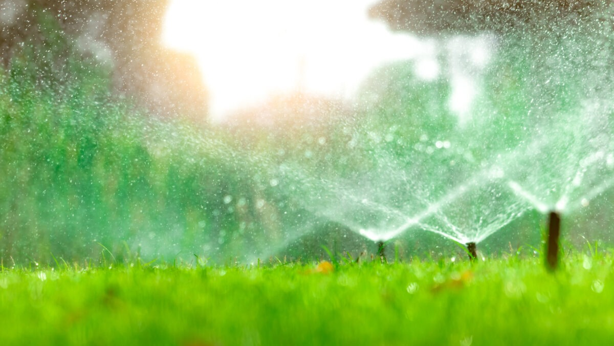Lawns