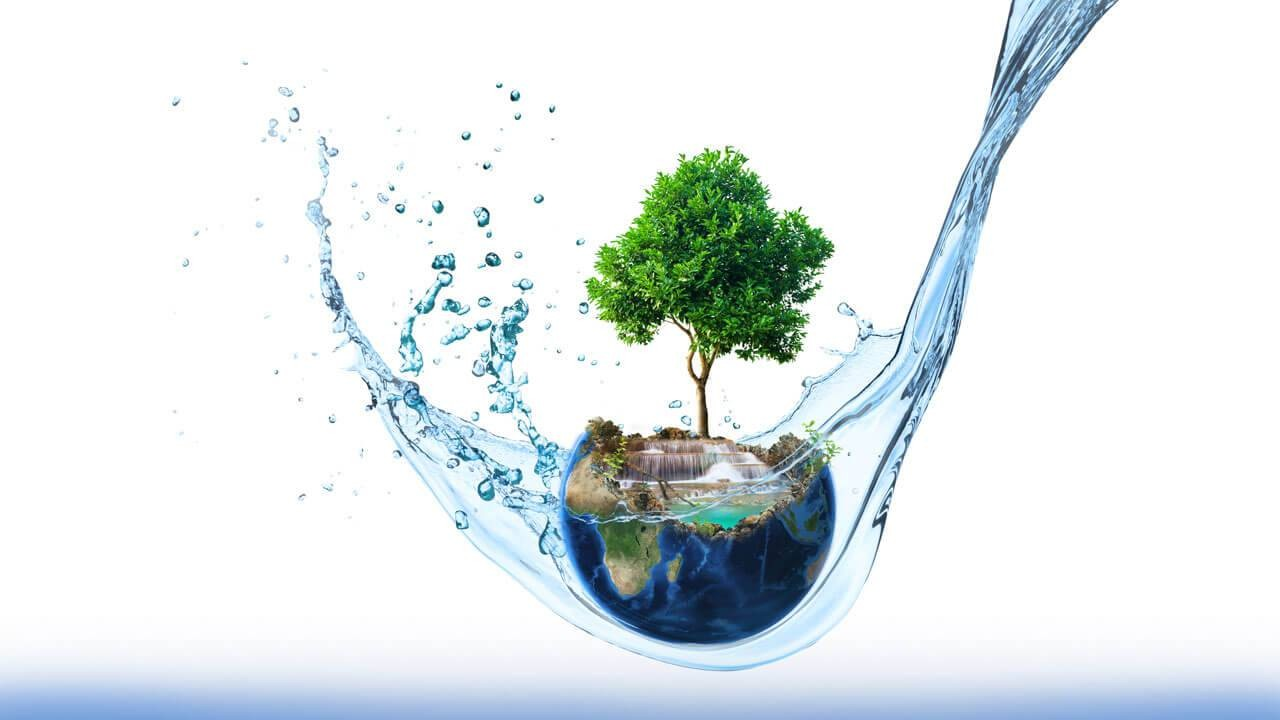 Sustainability
