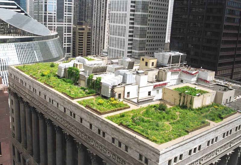 Green Roofs in UAE