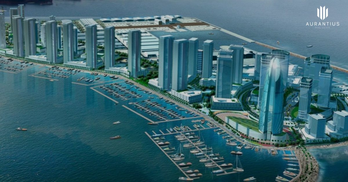 Soulever Project